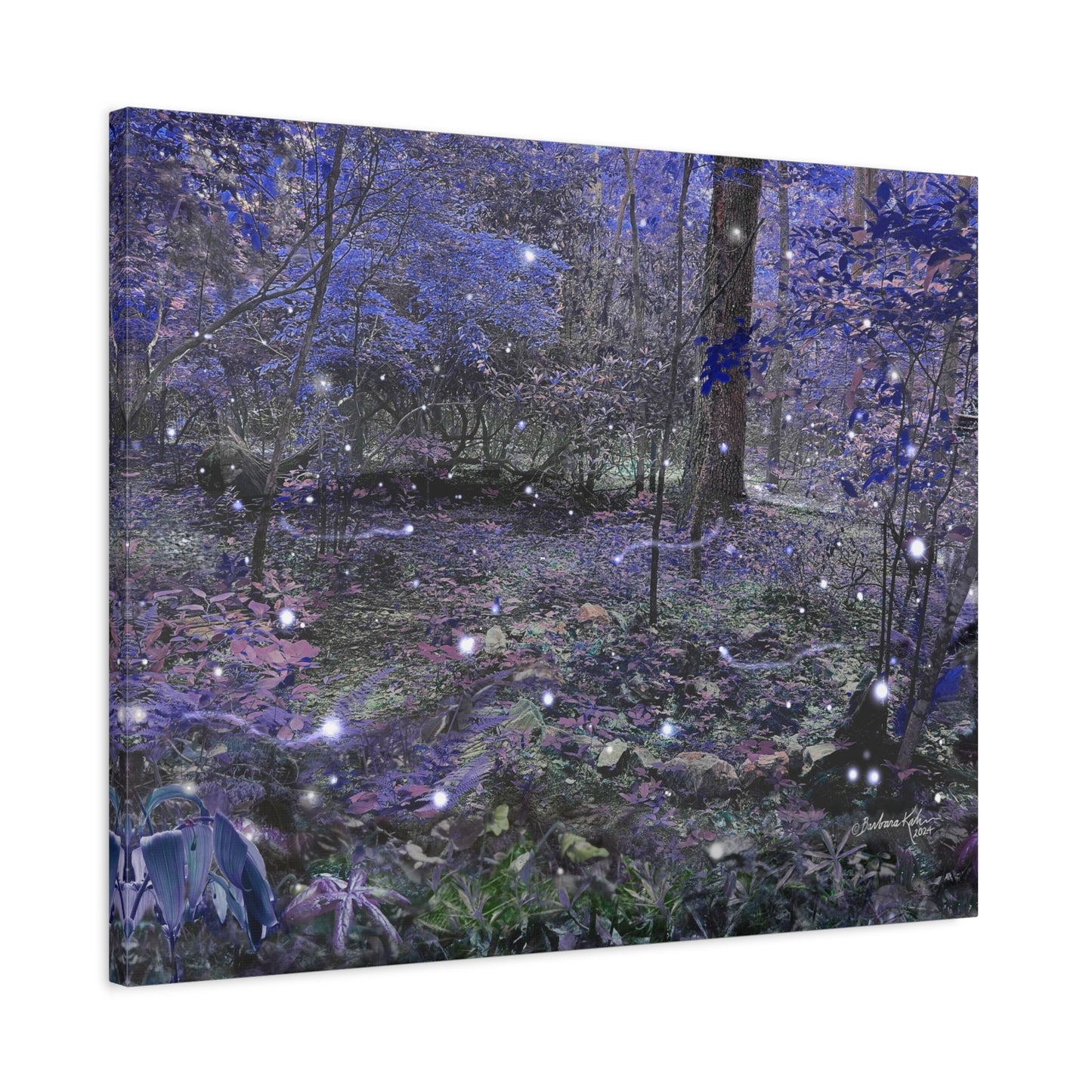 Enchanted Faerie Forest