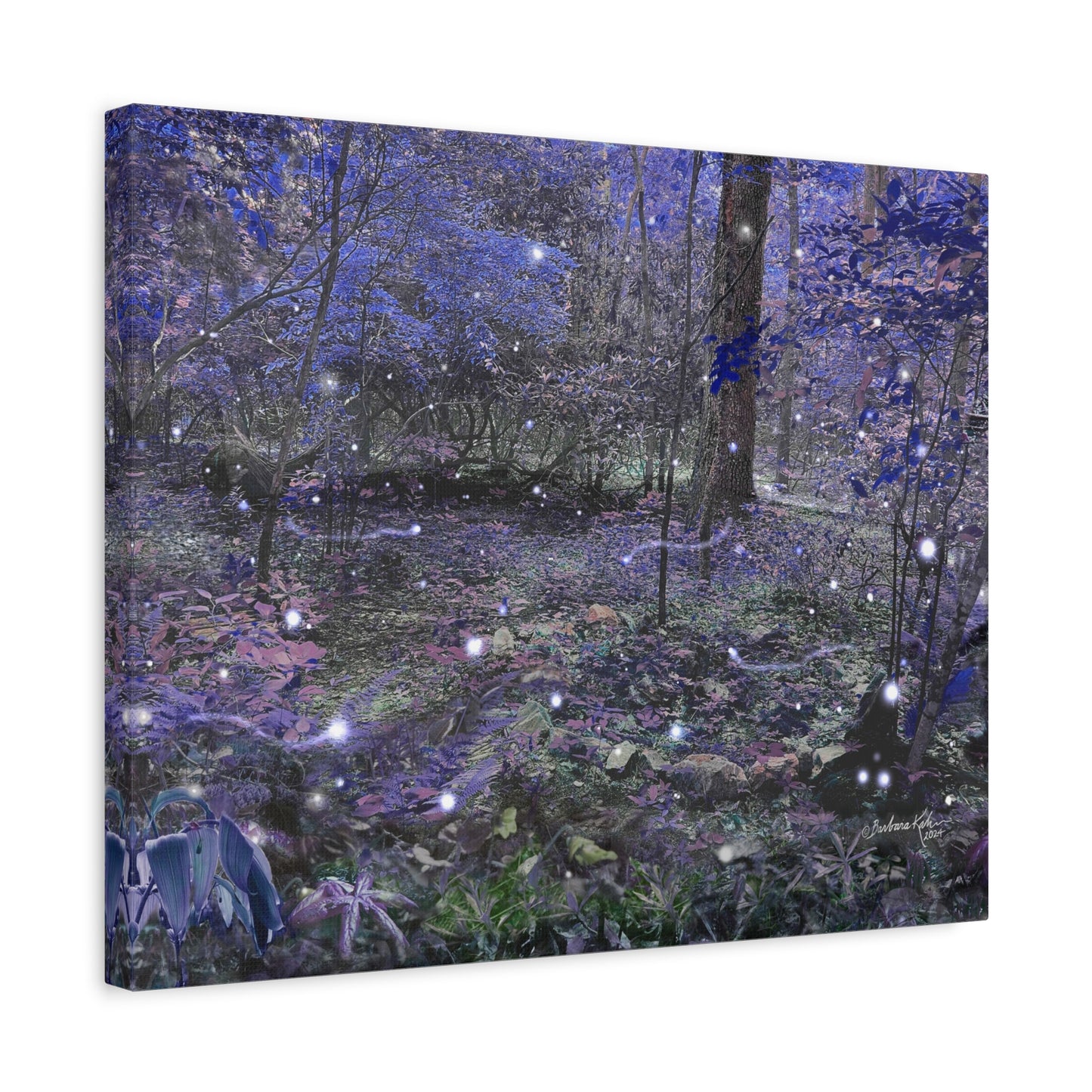 Enchanted Faerie Forest