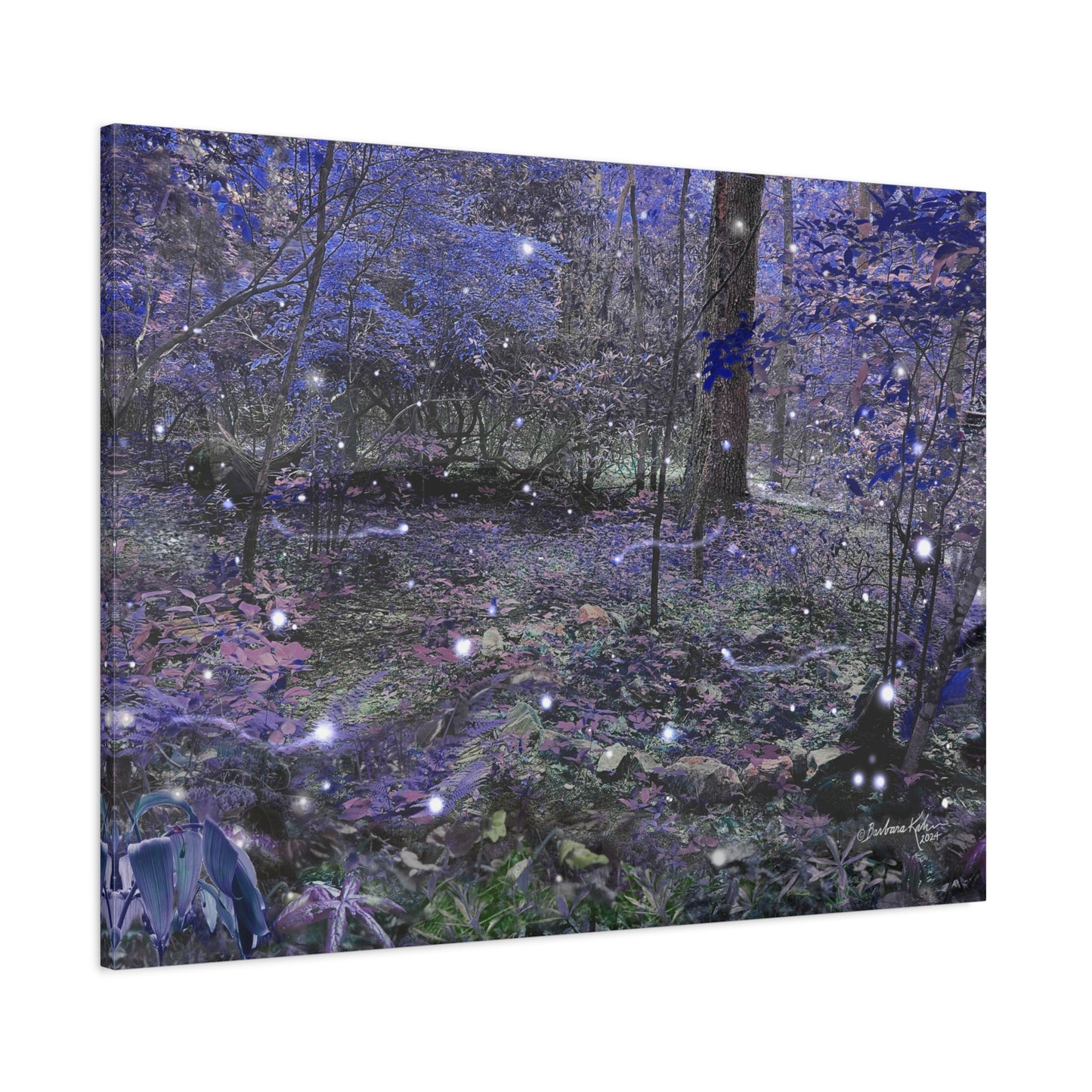 Enchanted Faerie Forest