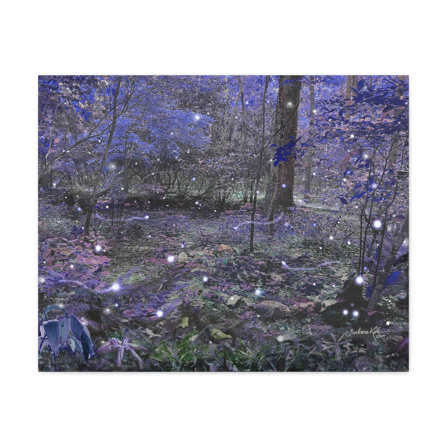 Enchanted Faerie Forest