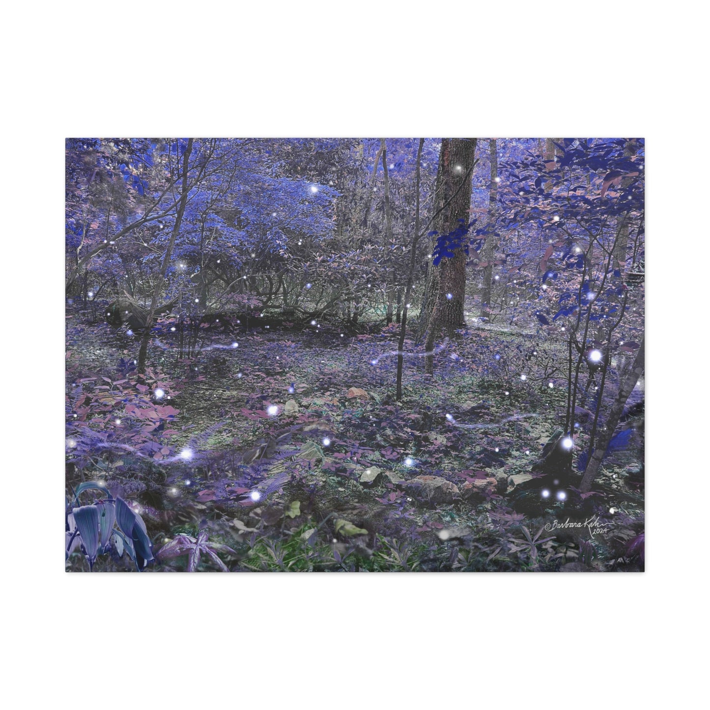 Enchanted Faerie Forest