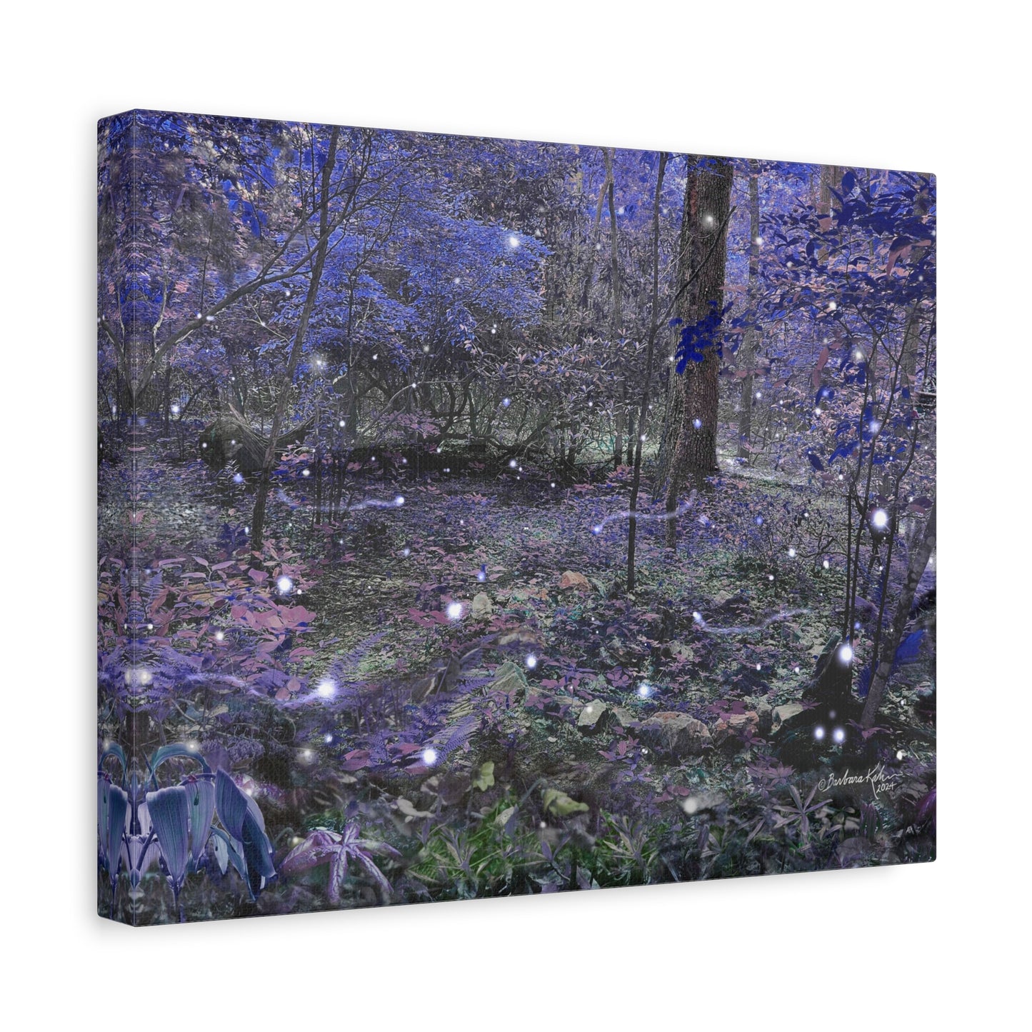 Enchanted Faerie Forest