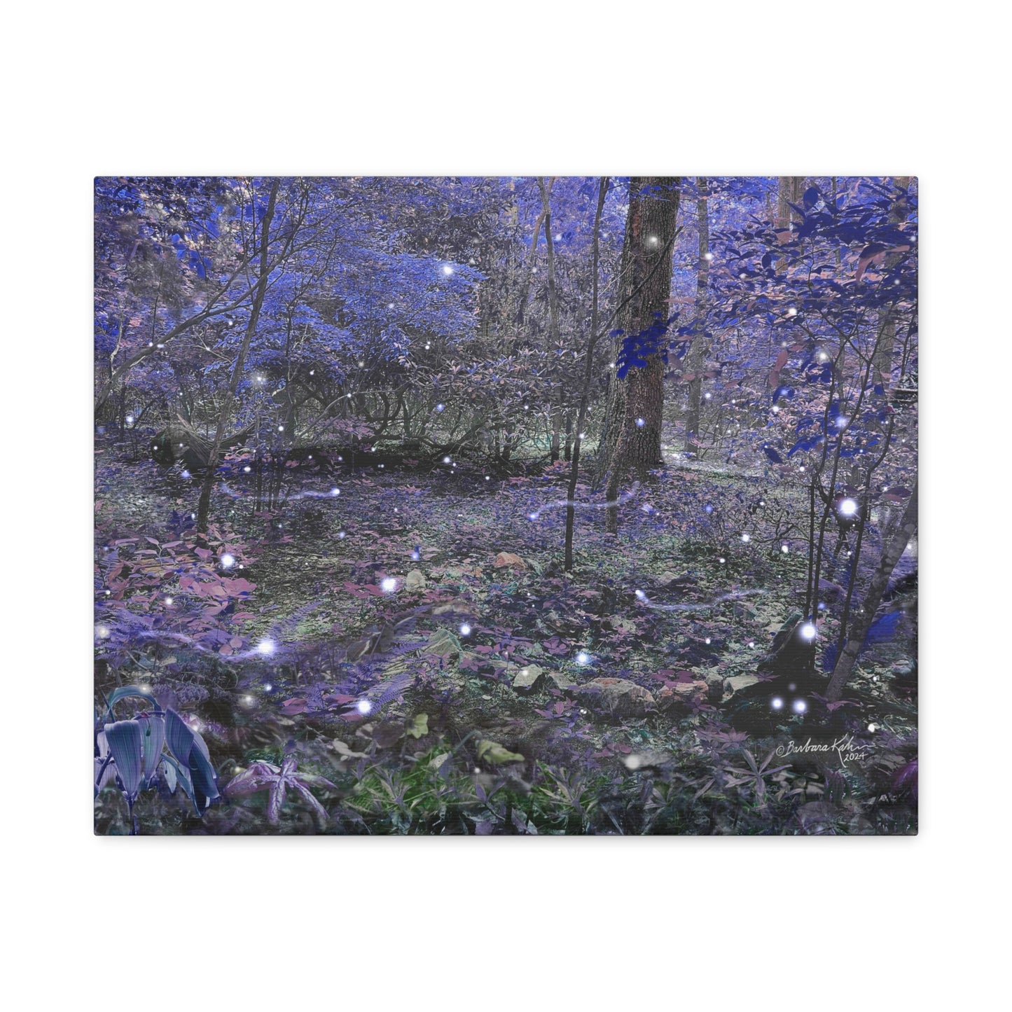 Enchanted Faerie Forest