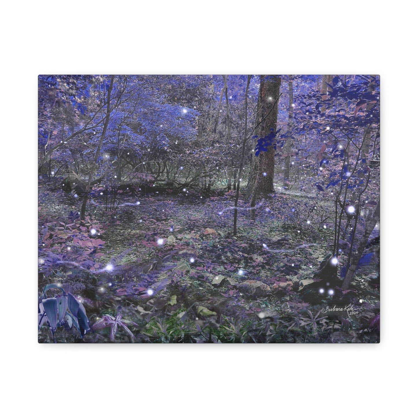 Enchanted Faerie Forest
