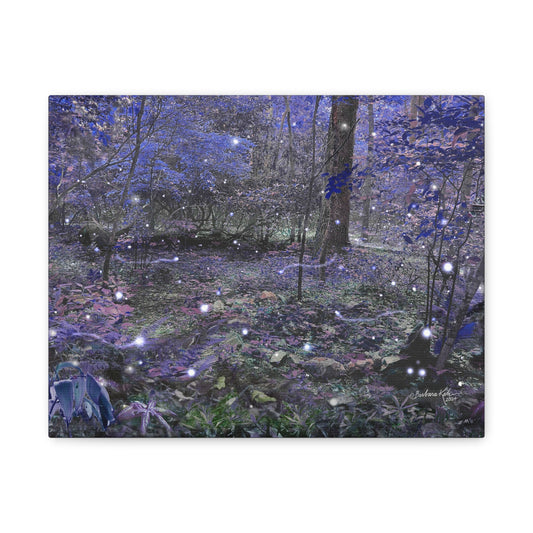Enchanted Faerie Forest